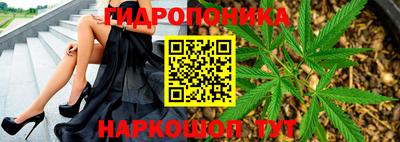 круглые Будённовск