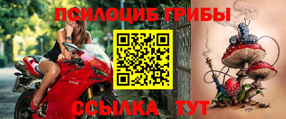 наркошоп  Вход с VPN  Похвистнево  Псилоцибиновые грибы Magic Shrooms 