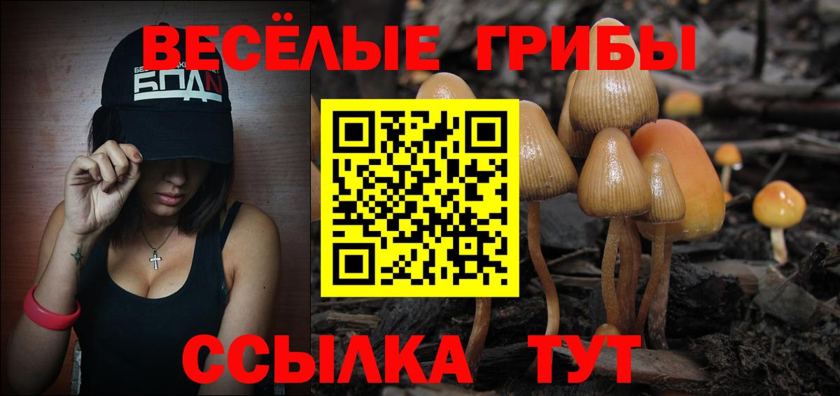 Галлюциногенные грибы GOLDEN TEACHER Похвистнево
