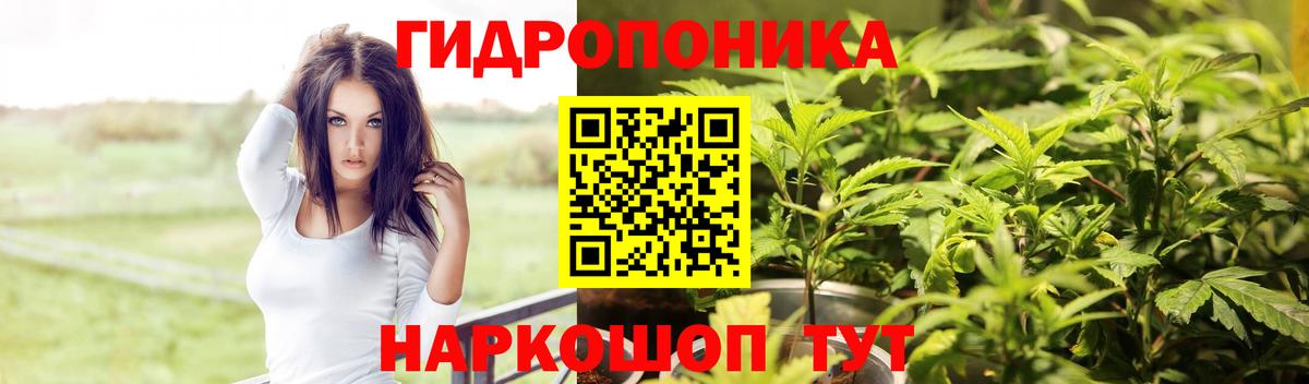 Похвистнево  Бошки Шишки конопля  Бошки Шишки план  Вход с VPN 
